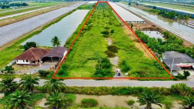 ที่ดิน 22000000 ปทุมธานี หนองเสือ บึงชำอ้อ