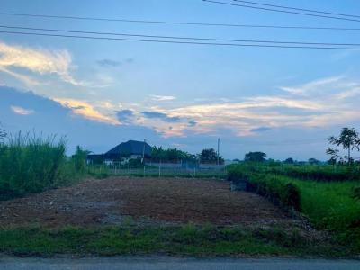 ที่ดิน 900000 เชียงใหม่ ดอยสะเก็ด ป่าลาน