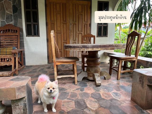 บ้านเดี่ยว 7000000 แพร่ เมืองแพร่ แม่คำมี บ้านเดี่ยว 7000000 แพร่ เมืองแพร่ แม่คำมี