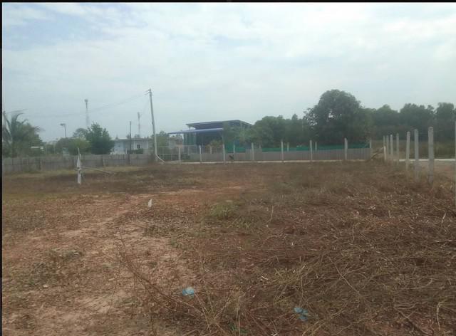 ที่ดิน 1600000 พิษณุโลก เมืองพิษณุโลก หัวรอ ที่ดิน 1600000 พิษณุโลก เมืองพิษณุโลก หัวรอ