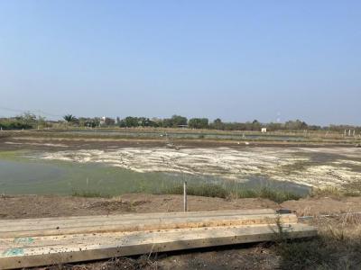 ที่ดิน 58266000 ฉะเชิงเทรา เมืองฉะเชิงเทรา คลองนา