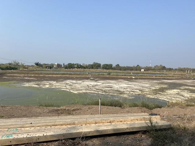 ที่ดิน 58266000 ฉะเชิงเทรา เมืองฉะเชิงเทรา คลองนา ที่ดิน 58266000 ฉะเชิงเทรา เมืองฉะเชิงเทรา คลองนา