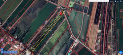 ที่ดิน 25000000 ปทุมธานี สามโคก บางเตย