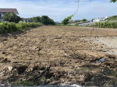 ที่ดิน 45000000 กรุงเทพมหานคร เขตหนองแขม หนองแขม