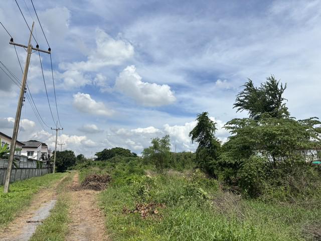 ที่ดิน 145000000 นครปฐม เมืองนครปฐม สนามจันทร์ ที่ดิน 145000000 นครปฐม เมืองนครปฐม สนามจันทร์