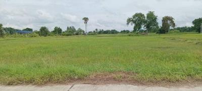 ที่ดิน 17000000 ชลบุรี บ้านบึง บ้านบึง