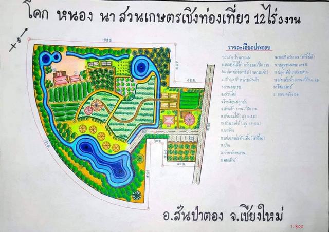ที่ดิน 15000000 เชียงใหม่ สันป่าตอง บ้านกลาง ที่ดิน 15000000 เชียงใหม่ สันป่าตอง บ้านกลาง