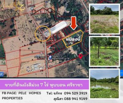 ที่ดิน 25000000 ชลบุรี ศรีราชา เขาคันทรง