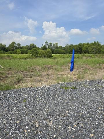 ที่ดิน 450000 ปทุมธานี หนองเสือ ศาลาครุ ที่ดิน 450000 ปทุมธานี หนองเสือ ศาลาครุ
