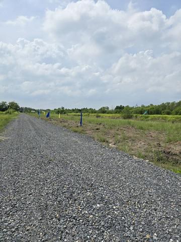 ที่ดิน 450000 ปทุมธานี หนองเสือ ศาลาครุ ที่ดิน 450000 ปทุมธานี หนองเสือ ศาลาครุ