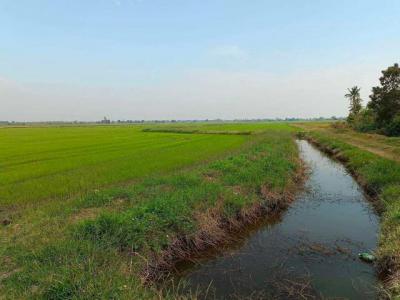 ที่ดิน 76700000 นครปฐม บางเลน นราภิรมย์