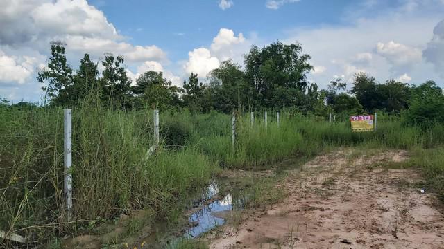 ที่ดิน 4900000 ขอนแก่น เมืองขอนแก่น พระลับ ที่ดิน 4900000 ขอนแก่น เมืองขอนแก่น พระลับ