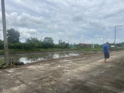ที่ดิน 390000 ปทุมธานี หนองเสือ บึงกาสาม