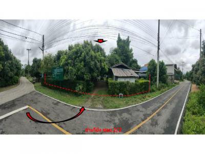 บ้านเดี่ยว 1150000 เชียงใหม่ พร้าว บ้านโป่ง