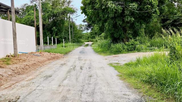 ที่ดิน 590000 ชลบุรี บ้านบึง มาบไผ่ ที่ดิน 590000 ชลบุรี บ้านบึง มาบไผ่