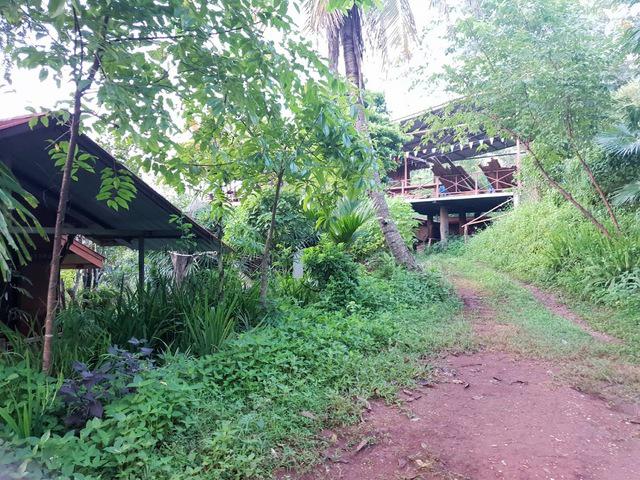 ที่ดิน 8000000 ลำปาง เมืองลำปาง เวียงเหนือ ที่ดิน 8000000 ลำปาง เมืองลำปาง เวียงเหนือ