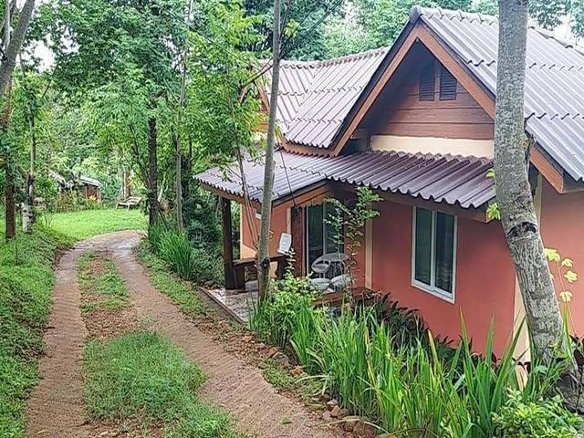 ที่ดิน 8000000 ลำปาง เมืองลำปาง เวียงเหนือ ที่ดิน 8000000 ลำปาง เมืองลำปาง เวียงเหนือ