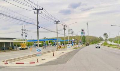 ที่ดิน 75780000 ชลบุรี หนองใหญ่ หนองเสือช้าง