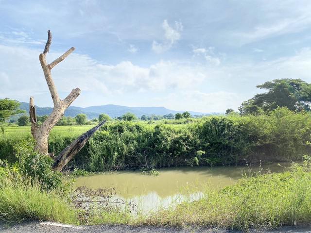 ที่ดิน 8000000 สระบุรี หนองแค หนองแค ที่ดิน 8000000 สระบุรี หนองแค หนองแค
