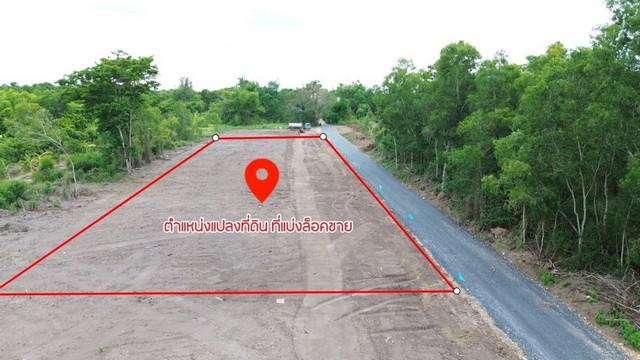 ที่ดิน 580000 ปทุมธานี หนองเสือ บึงบา ที่ดิน 580000 ปทุมธานี หนองเสือ บึงบา