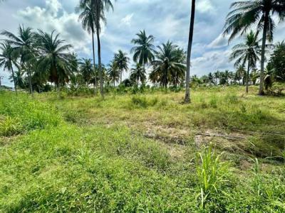ที่ดิน 112000 ชลบุรี ศรีราชา ทุ่งสุขลา