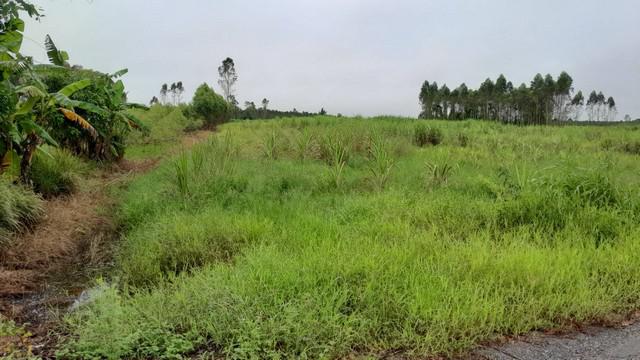 ที่ดิน 350000 ปราจีนบุรี กบินทร์บุรี วังตะเคียน ที่ดิน 350000 ปราจีนบุรี กบินทร์บุรี วังตะเคียน