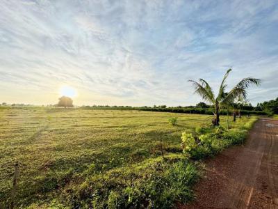 ที่ดิน 750000 ชลบุรี พนัสนิคม โคกเพลาะ