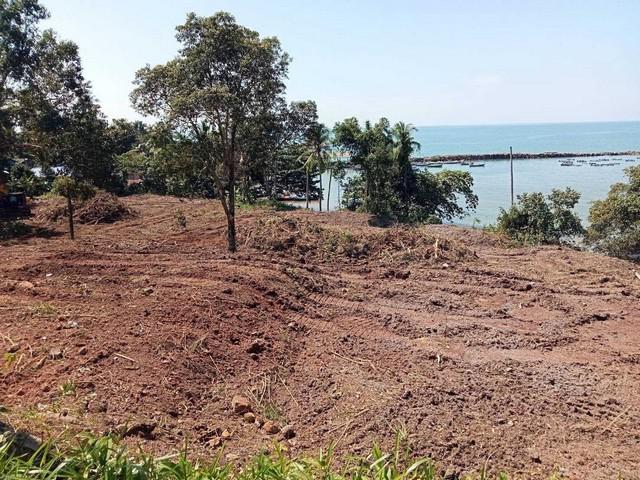 ที่ดิน 48000000 ตราด คลองใหญ่ หาดเล็ก ที่ดิน 48000000 ตราด คลองใหญ่ หาดเล็ก