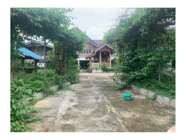 บ้านเดี่ยว 4950000 เชียงใหม่ ไชยปราการ หนองบัว บ้านเดี่ยว 4950000 เชียงใหม่ ไชยปราการ หนองบัว