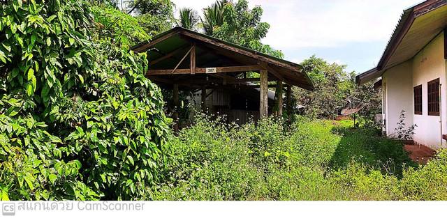 บ้านเดี่ยว 1120000 เชียงใหม่ พร้าว แม่ปั๋ง บ้านเดี่ยว 1120000 เชียงใหม่ พร้าว แม่ปั๋ง