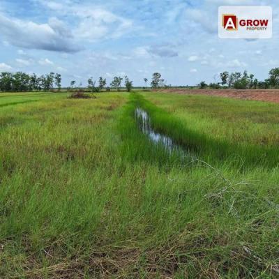 ที่ดิน 2526000 นครนายก องครักษ์ โพธิ์แทน