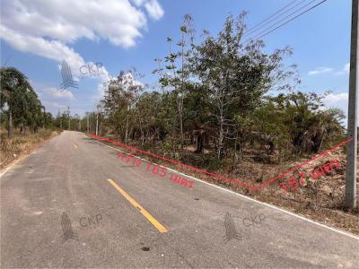 ที่ดิน 3900000 เพชรบุรี ชะอำ ไร่ใหม่พัฒนา