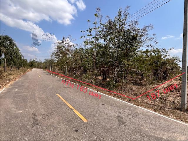 ที่ดิน 3900000 เพชรบุรี ชะอำ ไร่ใหม่พัฒนา ที่ดิน 3900000 เพชรบุรี ชะอำ ไร่ใหม่พัฒนา
