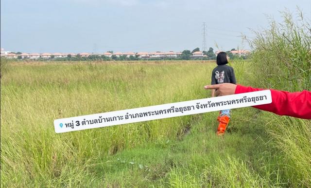 ที่ดิน 131570082 พระนครศรีอยุธยา พระนครศรีอยุธยา บ้านเกาะ ที่ดิน 131570082 พระนครศรีอยุธยา พระนครศรีอยุธยา บ้านเกาะ