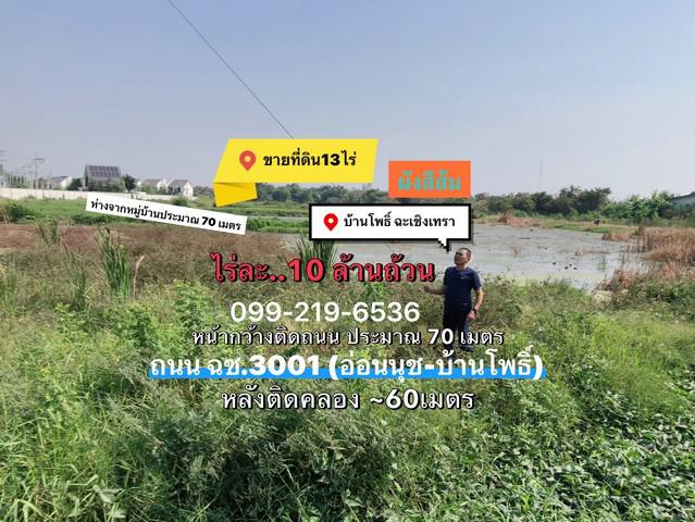 ที่ดิน 137500000 ฉะเชิงเทรา บ้านโพธิ์ คลองประเวศ ที่ดิน 137500000 ฉะเชิงเทรา บ้านโพธิ์ คลองประเวศ