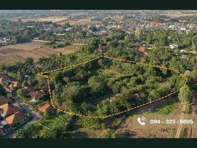 ที่ดิน 31800000 เชียงราย เมืองเชียงราย สันทราย