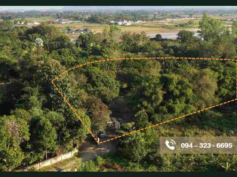 ที่ดิน 31800000 เชียงราย เมืองเชียงราย สันทราย ที่ดิน 31800000 เชียงราย เมืองเชียงราย สันทราย