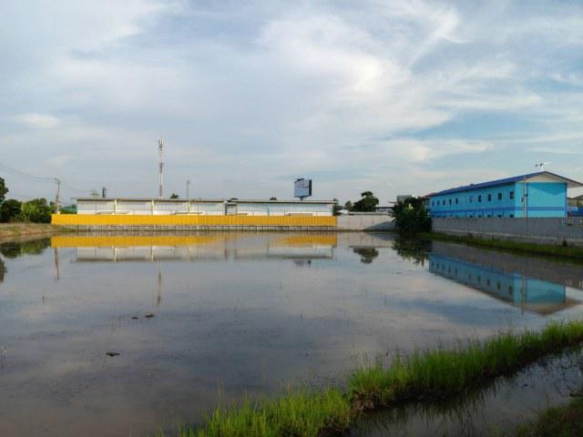 ที่ดิน 271823000 นนทบุรี ปากเกร็ด คลองข่อย ที่ดิน 271823000 นนทบุรี ปากเกร็ด คลองข่อย