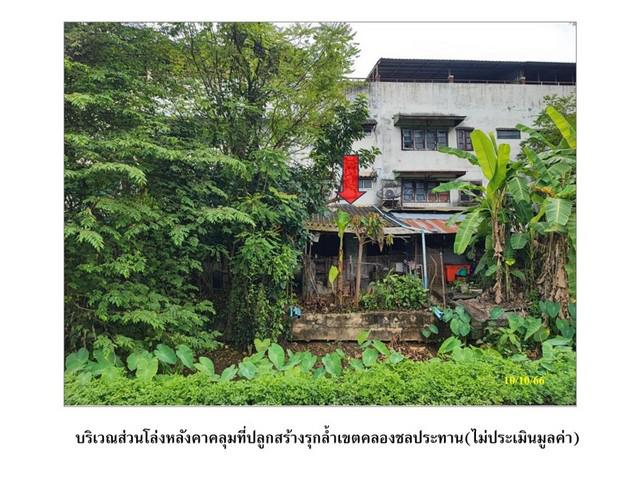 อาคารพาณิชย์ 1020000 เชียงใหม่ แม่แตง ขี้เหล็ก อาคารพาณิชย์ 1020000 เชียงใหม่ แม่แตง ขี้เหล็ก
