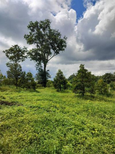 ที่ดิน 4600000 จันทบุรี โป่งน้ำร้อน โป่งน้ำร้อน