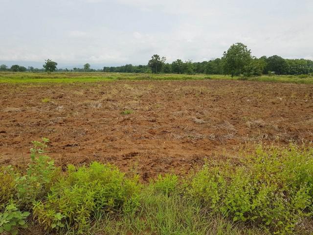 ที่ดิน 295000 เพชรบูรณ์ เมืองเพชรบูรณ์ บ้านโคก ที่ดิน 295000 เพชรบูรณ์ เมืองเพชรบูรณ์ บ้านโคก