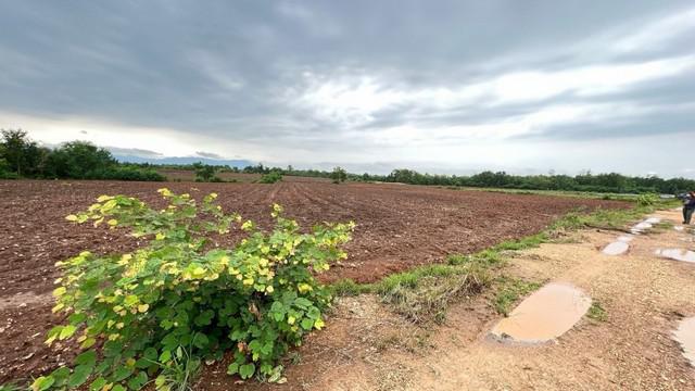ที่ดิน 295000 เพชรบูรณ์ เมืองเพชรบูรณ์ บ้านโคก ที่ดิน 295000 เพชรบูรณ์ เมืองเพชรบูรณ์ บ้านโคก