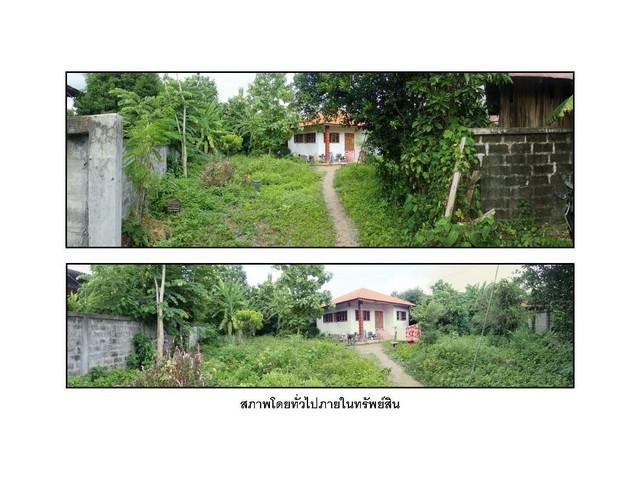 บ้านเดี่ยว 750000 แพร่ สูงเม่น น้ำชำ บ้านเดี่ยว 750000 แพร่ สูงเม่น น้ำชำ
