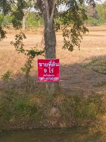 ที่ดิน 700000 ศรีสะเกษ ปรางค์กู่ พิมายเหนือ ที่ดิน 700000 ศรีสะเกษ ปรางค์กู่ พิมายเหนือ
