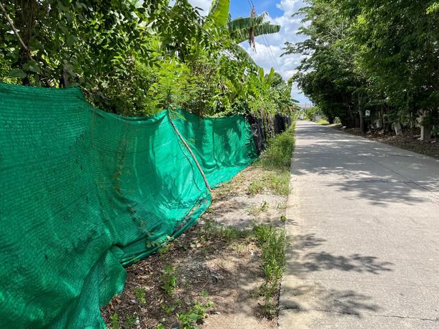 ที่ดิน 3700000 นครปฐม สามพราน ไร่ขิง ที่ดิน 3700000 นครปฐม สามพราน ไร่ขิง