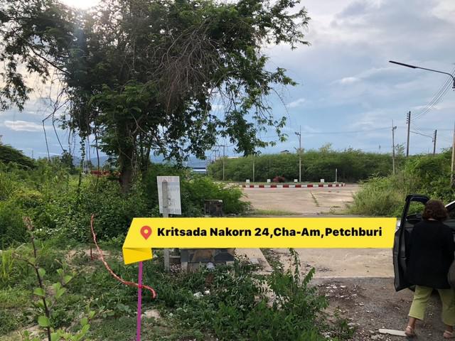 ที่ดิน 2800000 เพชรบุรี ชะอำ ชะอำ ที่ดิน 2800000 เพชรบุรี ชะอำ ชะอำ