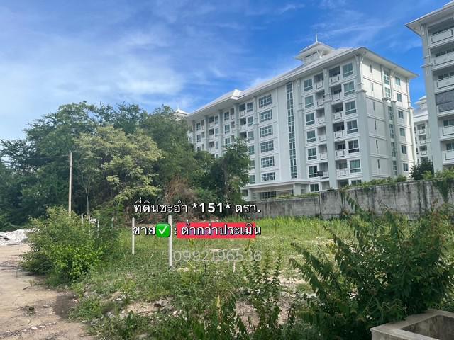 ที่ดิน 2800000 เพชรบุรี ชะอำ ชะอำ ที่ดิน 2800000 เพชรบุรี ชะอำ ชะอำ