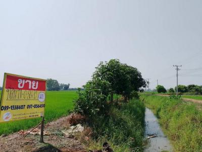 ที่ดิน 150000 อุตรดิตถ์ พิชัย ท่ามะเฟือง