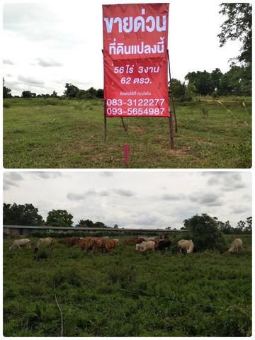 ที่ดิน 16000000 นครราชสีมา เมืองนครราชสีมา พุดซา