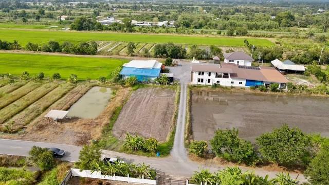 ที่ดิน 1390000 ปทุมธานี หนองเสือ บึงบอน ที่ดิน 1390000 ปทุมธานี หนองเสือ บึงบอน
